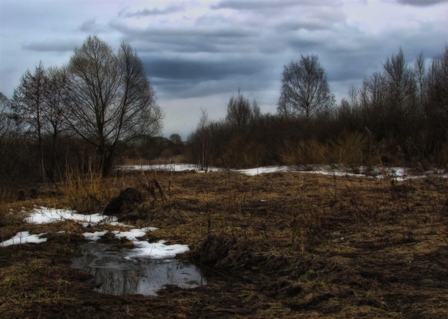 Фото жизнь