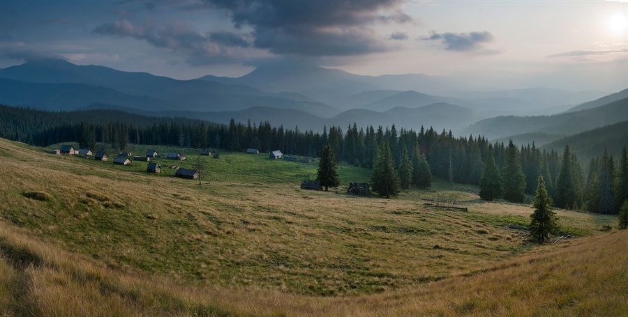 Фото жизнь