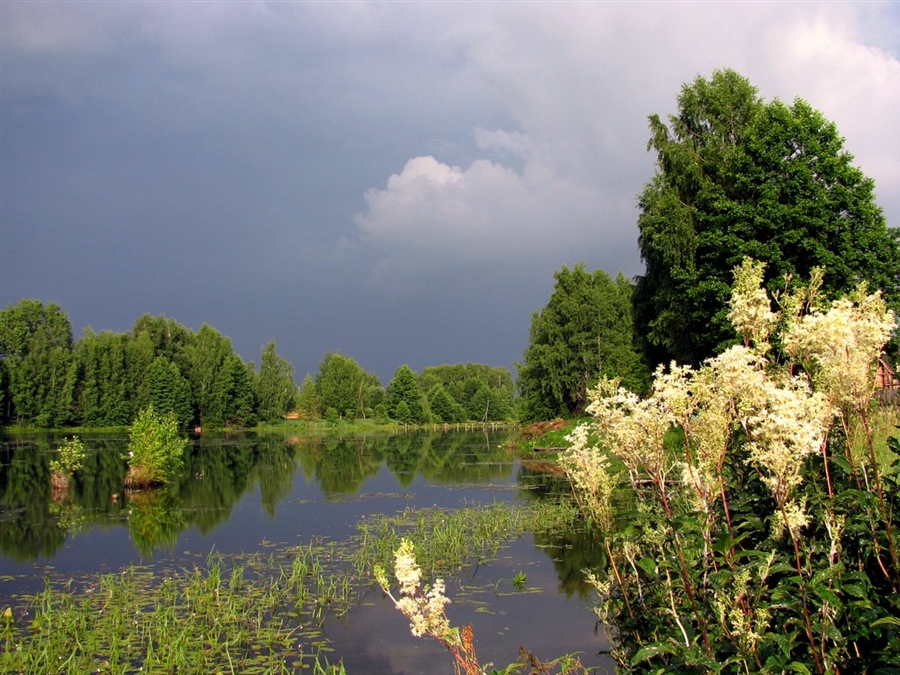 Фото жизнь