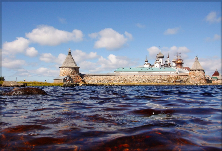 Фото жизнь