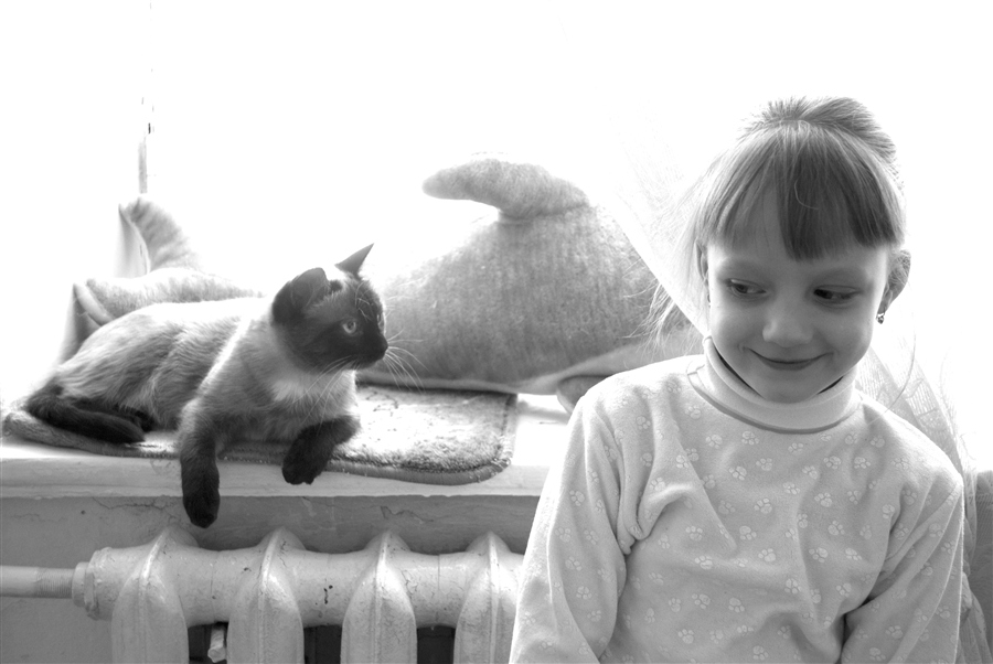 Кто в доме хозяин?