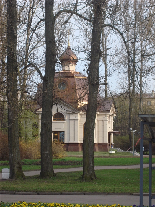 Фото жизнь
