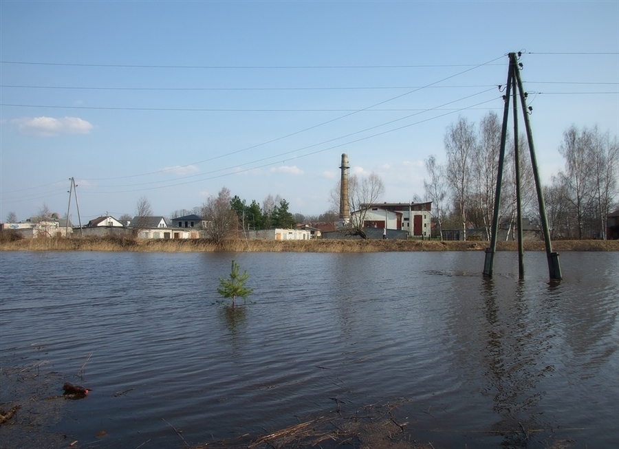 Фото жизнь