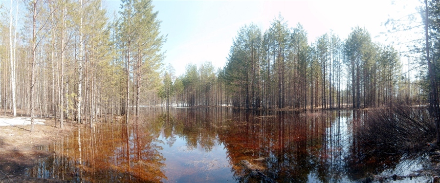 Фото жизнь