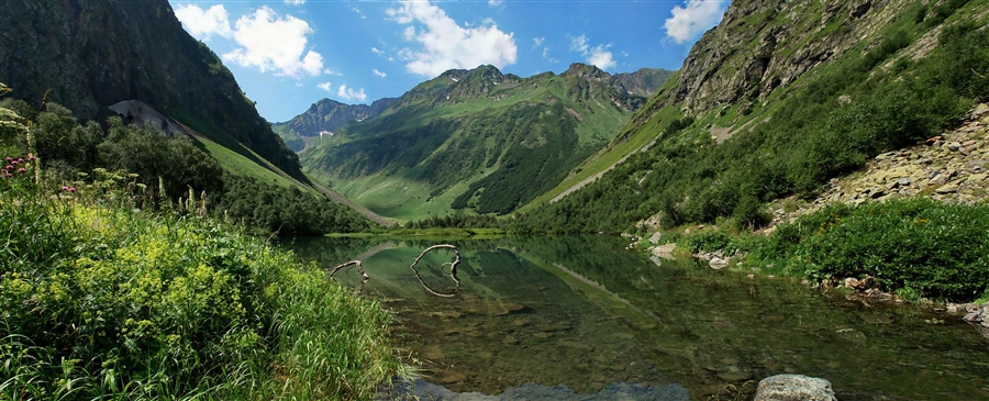 Фото жизнь