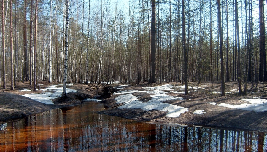 Фото жизнь