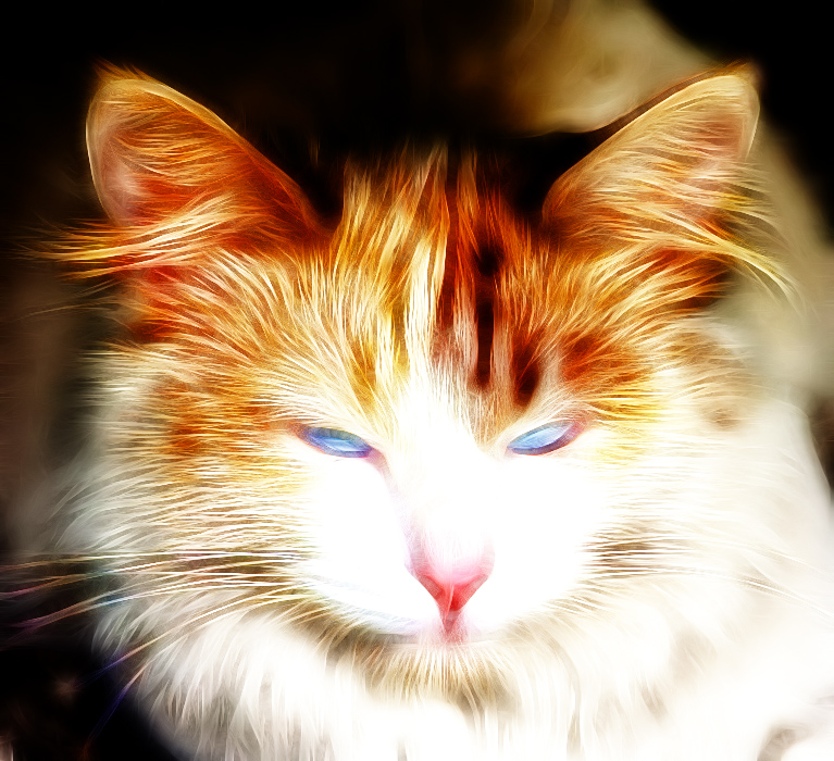 Фото жизнь (light) - AndreySavelyev - корневой каталог - ...