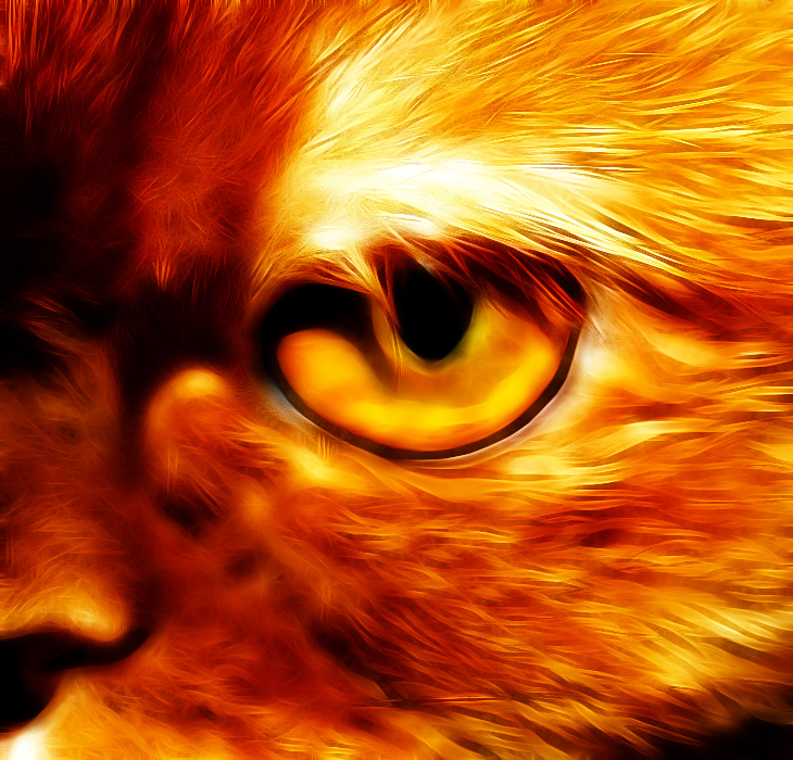 Фото жизнь (light) - AndreySavelyev - корневой каталог - ...