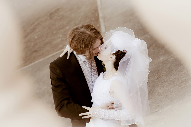 Фото жизнь (light) - AlexF - Weddings - ***