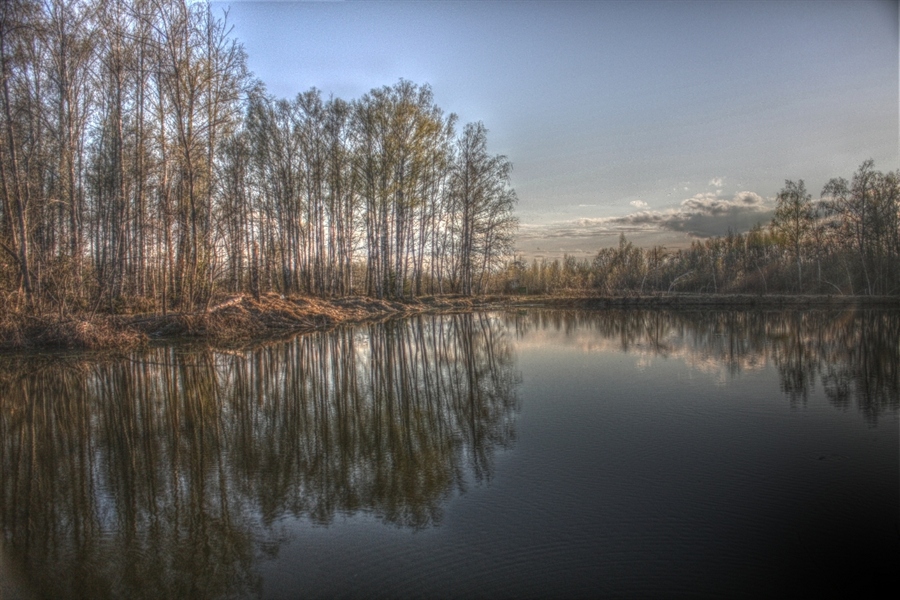 Фото жизнь