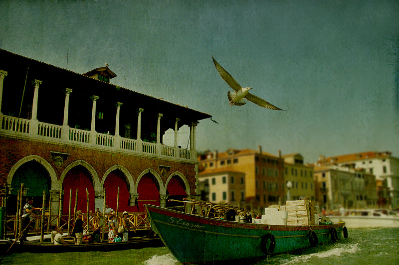 Фото жизнь (light) - incolorwetrust - итальяно веро - Seagull & S.Erasmo