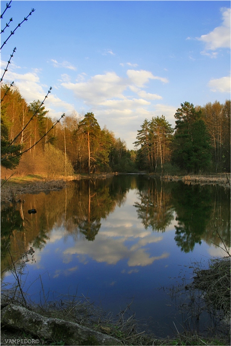 Фото жизнь