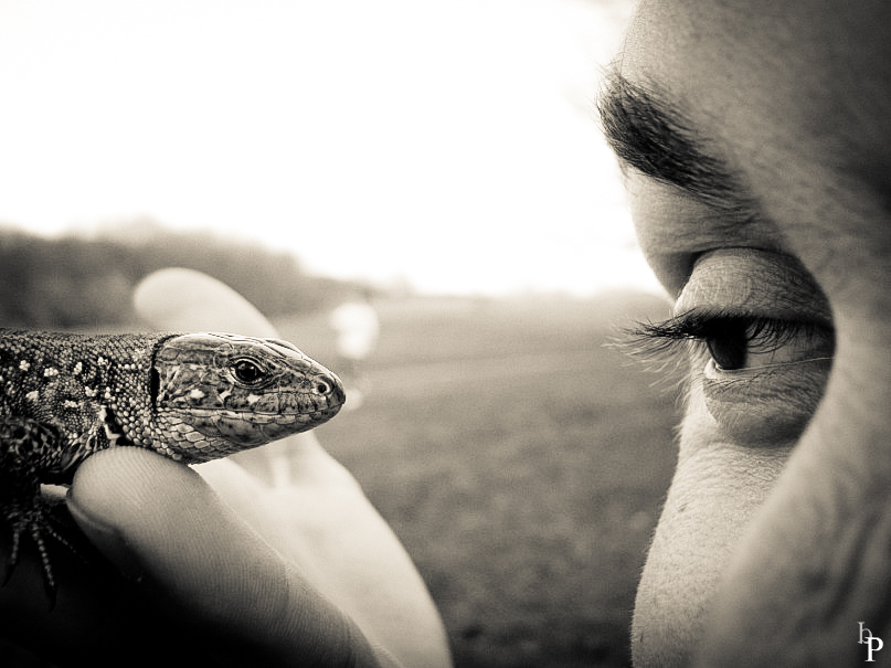 Фото жизнь (light) - byPovazh - корневой каталог - маленький динозавр_))