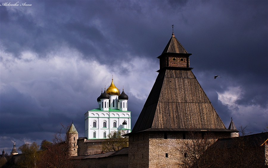 Фото жизнь