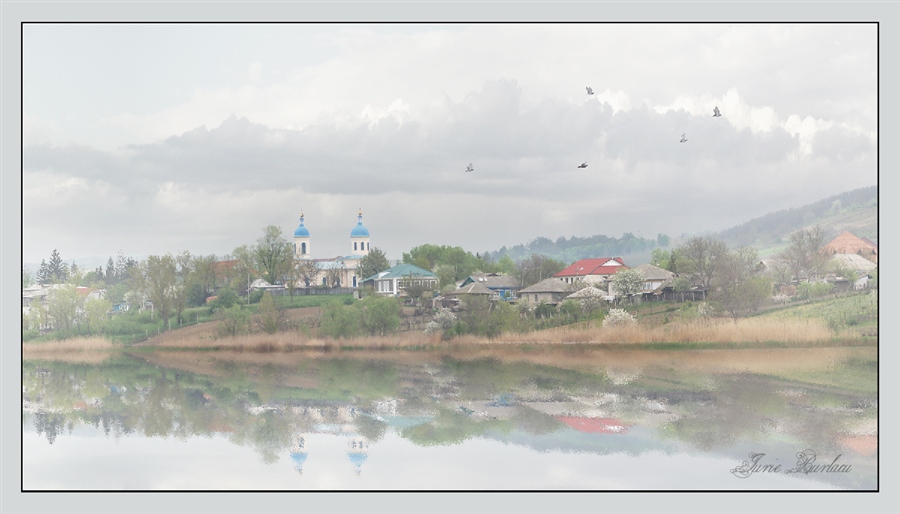 Фото жизнь