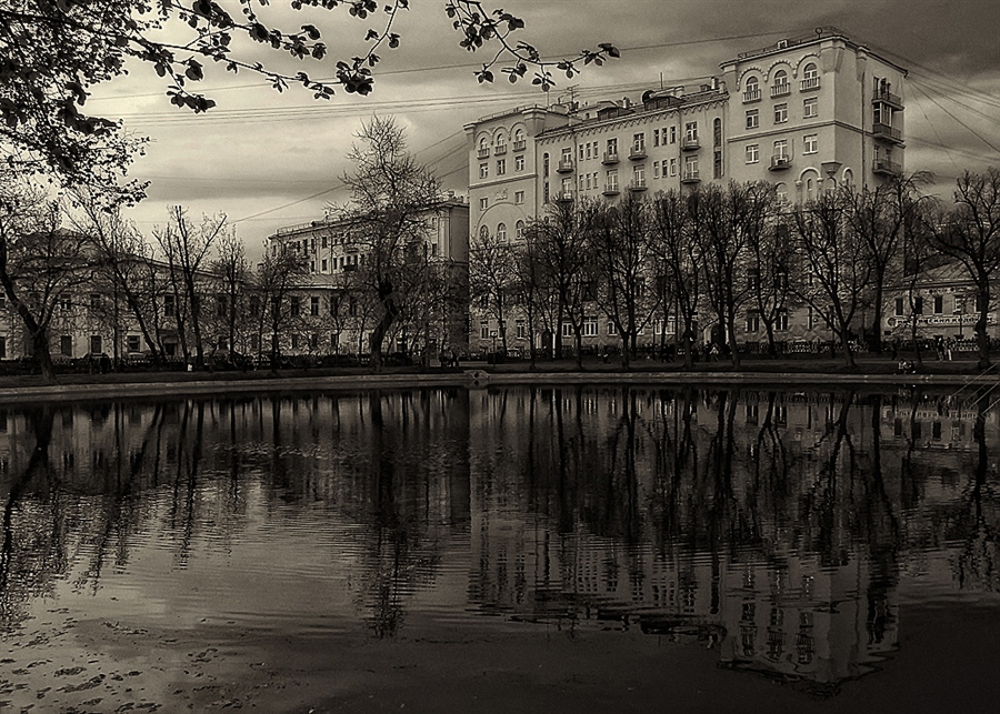 Фото жизнь