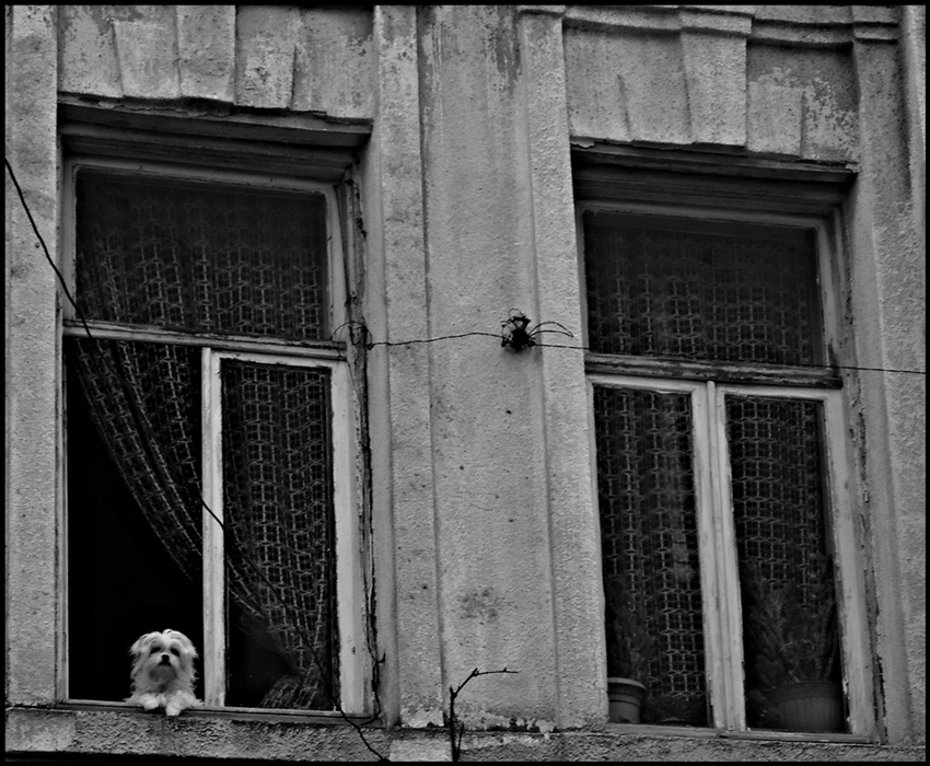 Фото жизнь