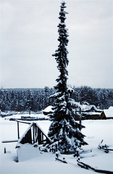 Фото жизнь