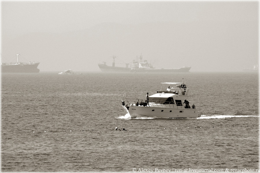 Фото жизнь (light) - Алексей Певнев - корневой каталог - В дымке тумана