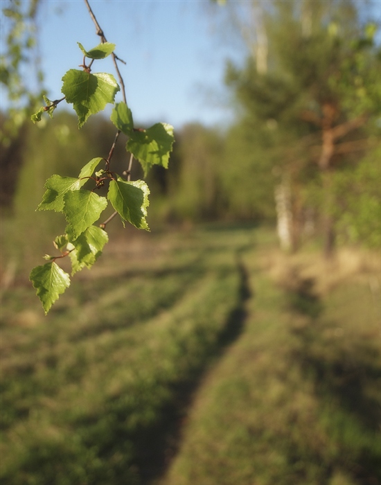Фото жизнь