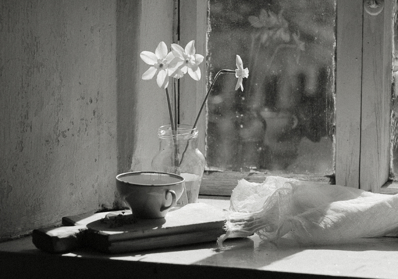Фото жизнь (light) - Ольга Енаева - натюрморты,цветы - ***