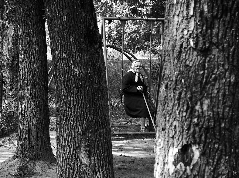 Фото жизнь (light) - ВЛАДИМИР КОПЫЛОВ - корневой каталог - А деревья стали большими ...