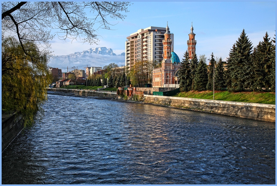 Фото жизнь