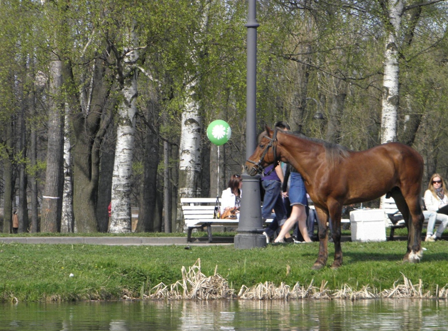 Фото жизнь