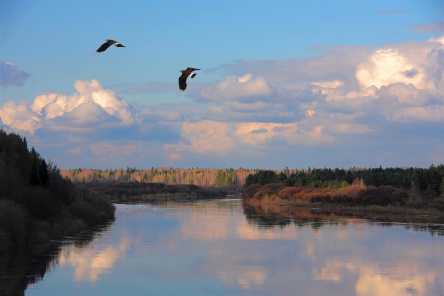 Фото жизнь