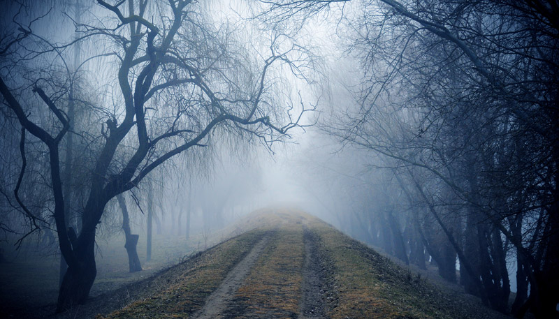 Фото жизнь (light) - Blue_Kat - корневой каталог - Туманный путь