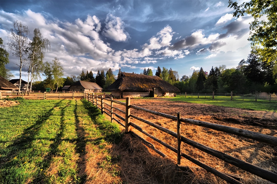 Фото жизнь