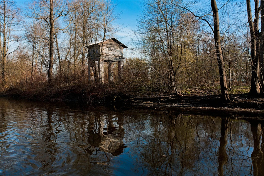 Фото жизнь