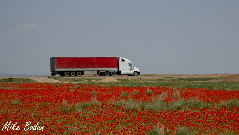 Фото жизнь (light) - Mihu - Природа и пейзажи - truck&.....