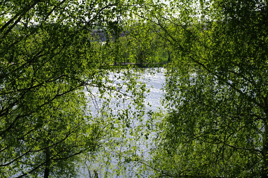 Фото жизнь