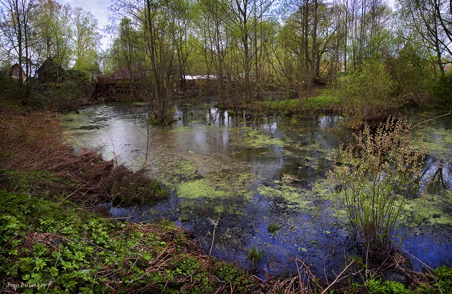 Фото жизнь