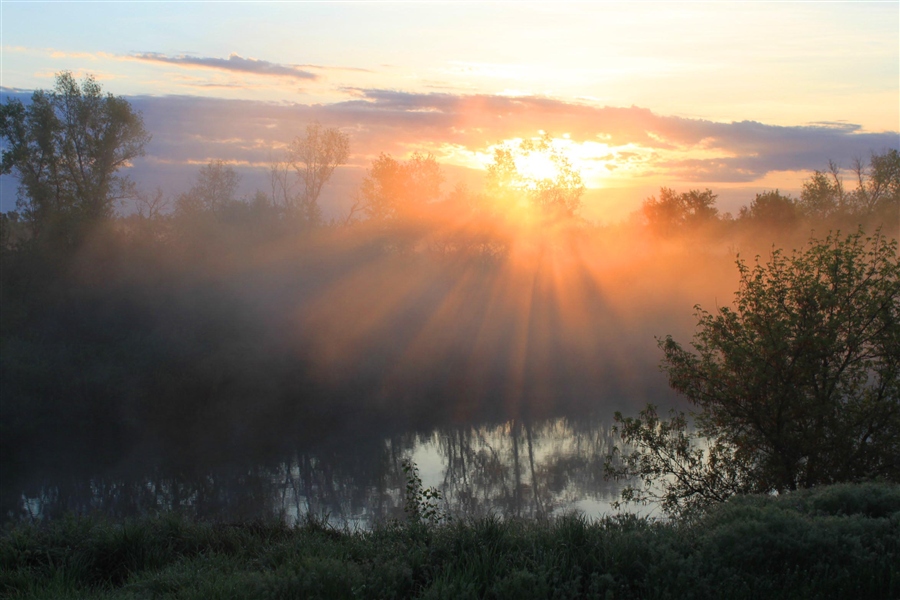 Фото жизнь
