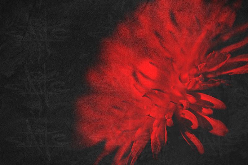 Фото жизнь (light) - smile_durb - корневой каталог - весна пришла