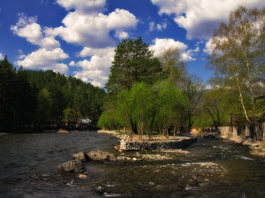 Фото жизнь