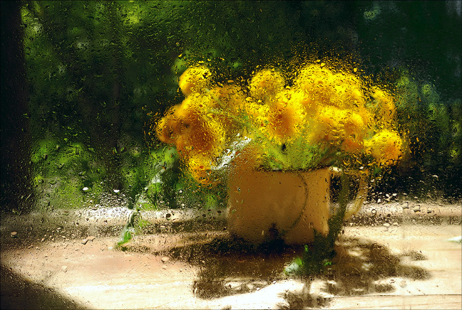 Фото жизнь (light) - Troynda - корневой каталог - Солнечный.