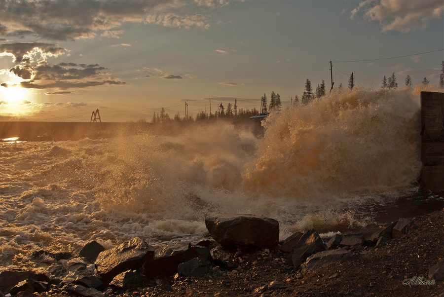 Фото жизнь