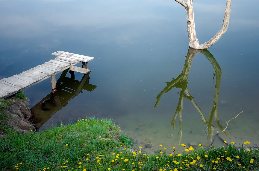 Фото жизнь - FLOP - корневой каталог - на озере - весна