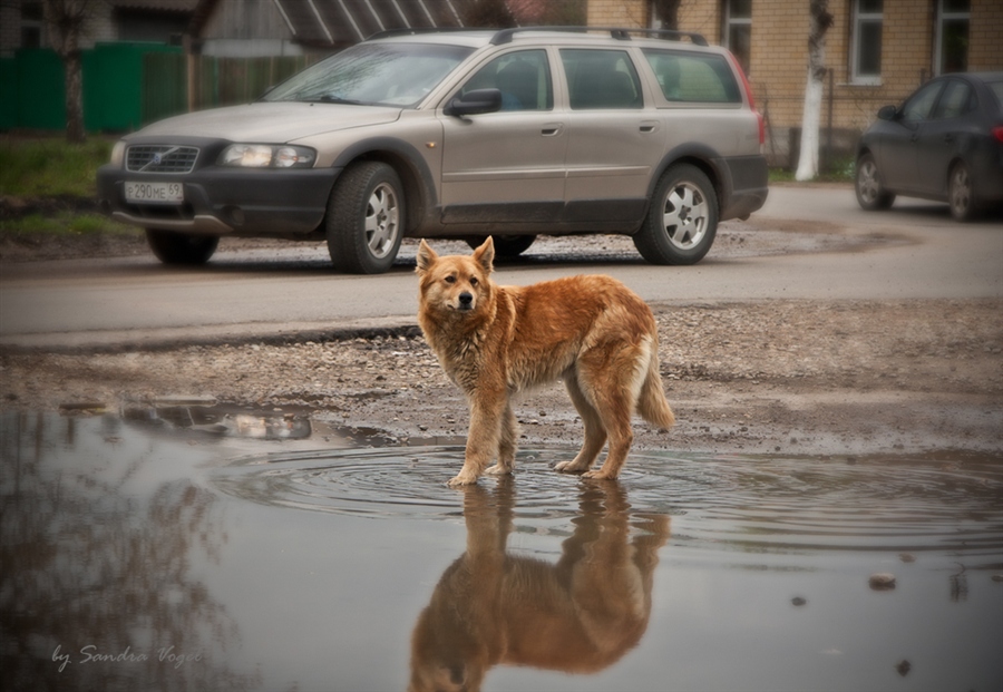 Фото жизнь