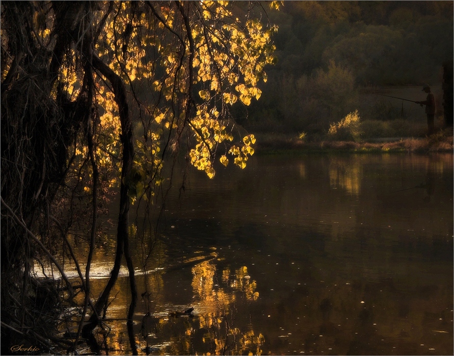 Фото жизнь