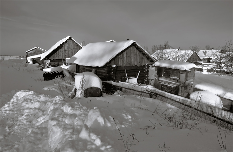 Фото жизнь