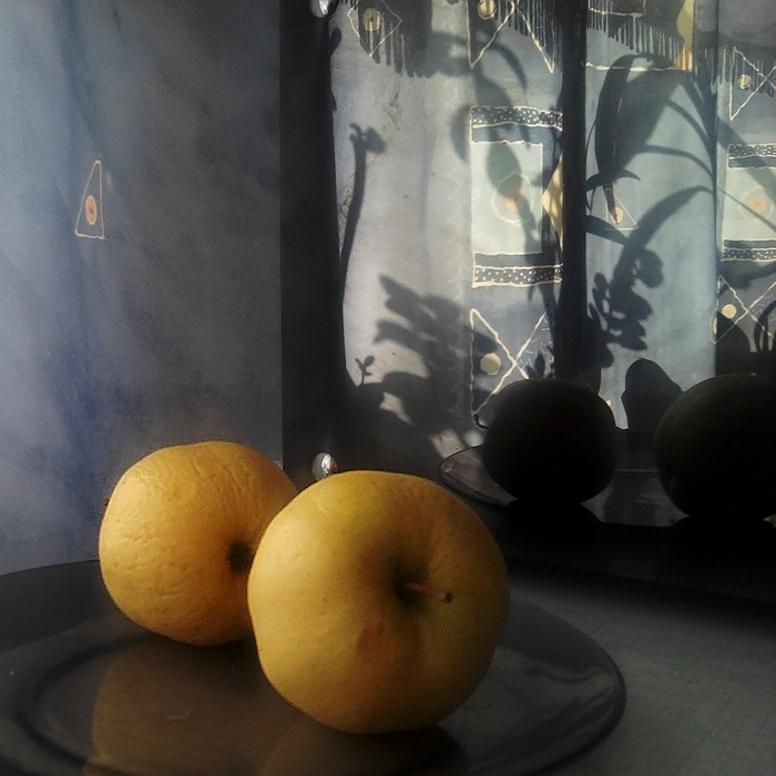 Фото жизнь (light) - Miranda - Nature morte - ...