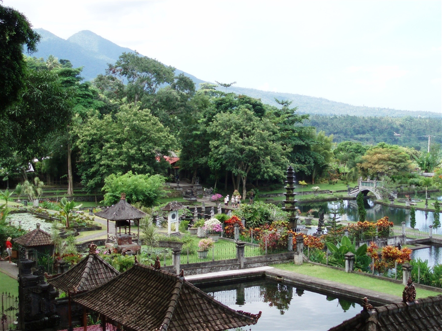 Райский  сад