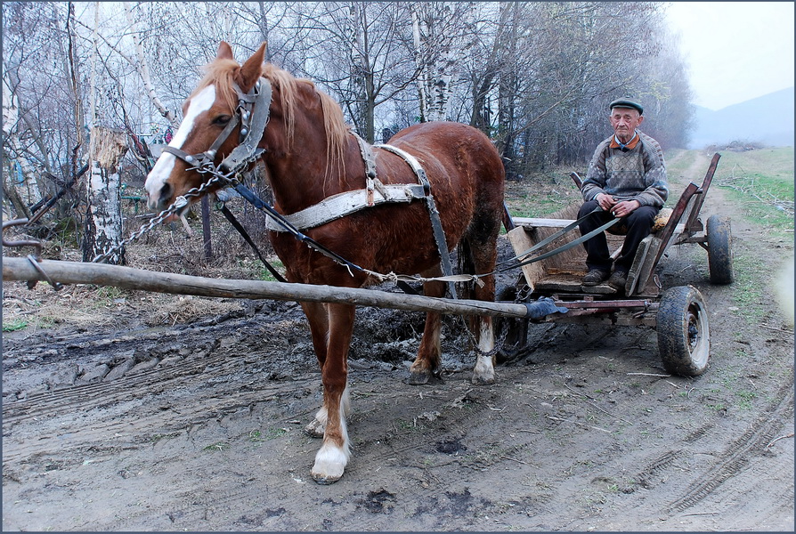 Фото жизнь (light) - Игорь К* - Жанр - Я ковал тебя железными подковами...