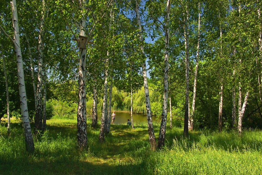 Фото жизнь