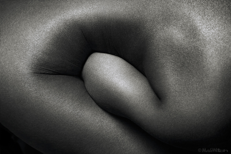 Фото жизнь (light) - MaleWitch - Bodyscapes - Hellix