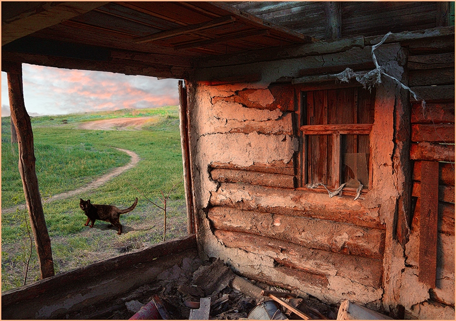 Фото жизнь